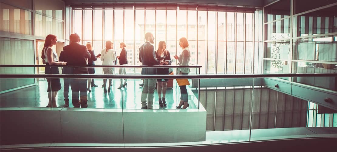 New Global Internal Audit Standards™